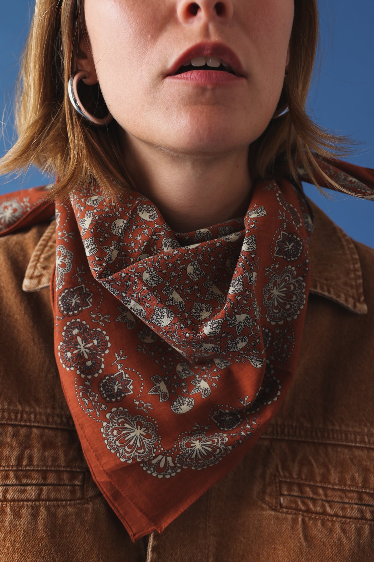 Foulard N°675 violin