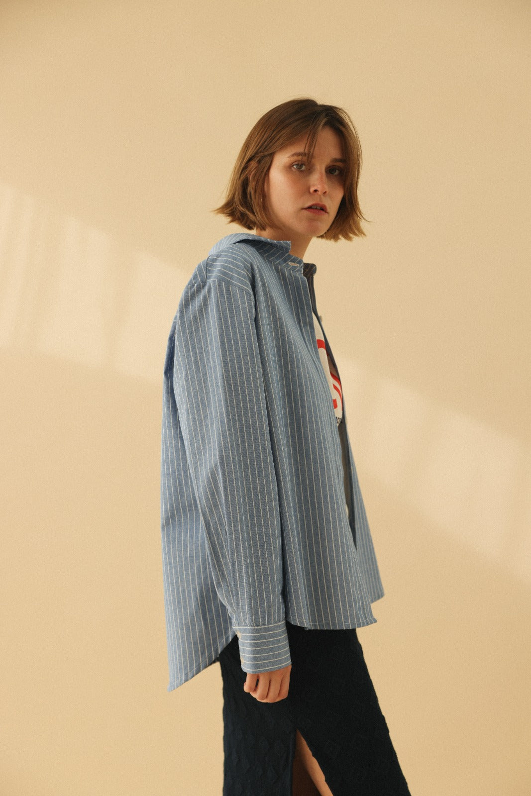 ARGENTINE blue stripe shirt