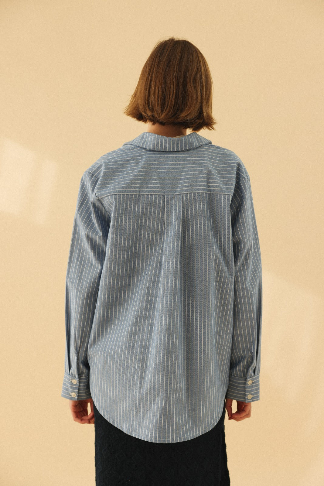 ARGENTINE blue stripe shirt